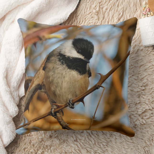 Cute Hopeful Black-Capped Chickadee Songbird Cushion (Blanket)