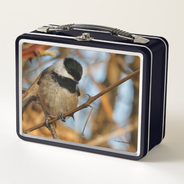 Cute Hopeful Black-Capped Chickadee Songbird Metal Lunch Box (Front)