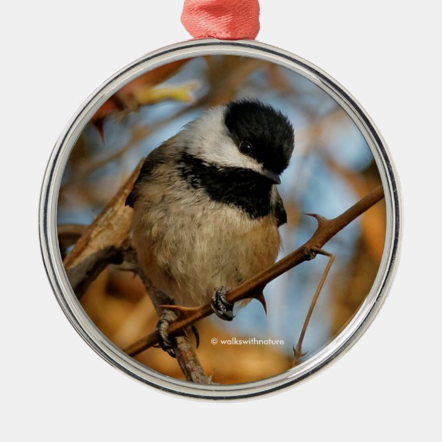 Cute Hopeful Black-Capped Chickadee Songbird Metal Tree Decoration (Front)