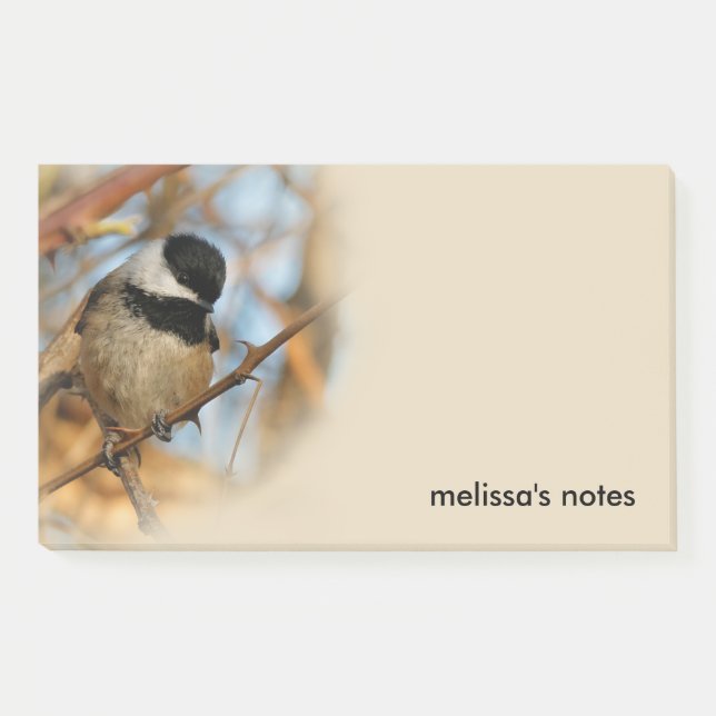 Cute Hopeful Black-Capped Chickadee Songbird Post-it Notes (Front)
