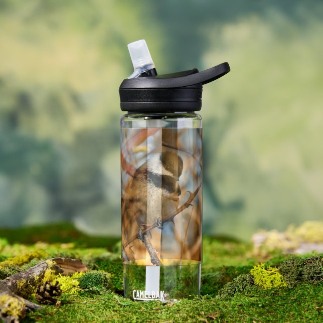 Cute Hopeful Black-Capped Chickadee Songbird Water Bottle (Outdoor)