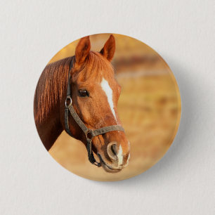 CUTE HORSE 6 CM ROUND BADGE
