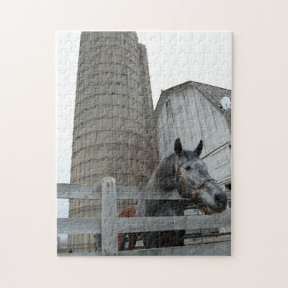 Cute Horse and Silo Jigsaw Puzzle