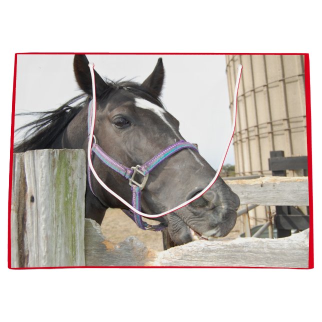 Cute Horse Chewing on a Fence Large Gift Bag (Front)