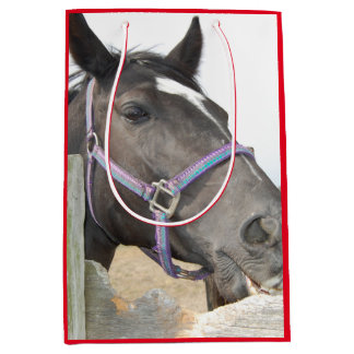 Cute Horse Chewing on a Fence Post Medium Gift Bag