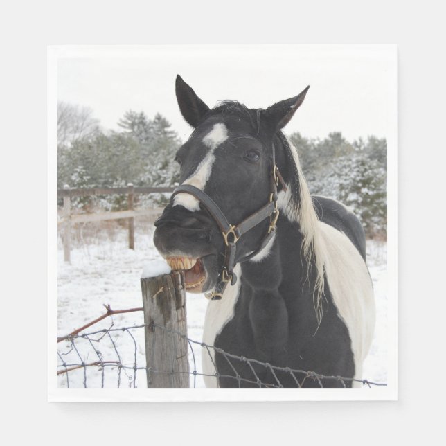 Cute Horse Chewing on a Fence Post Napkin (Front)