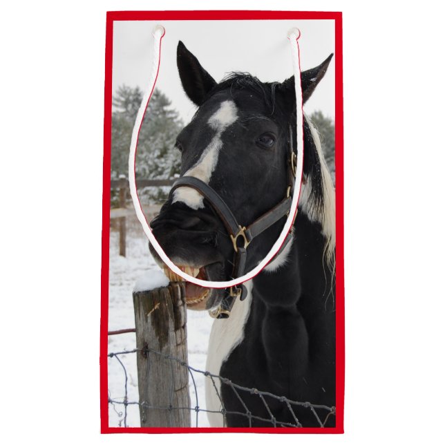 Cute Horse Chewing on a Fence Post Small Gift Bag (Front)