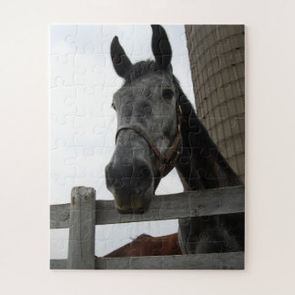 Cute Horse Close up Jigsaw Puzzle