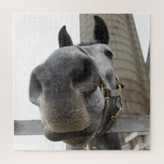 Cute Horse Close Up Jigsaw Puzzle
