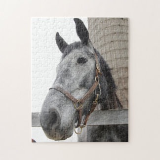 Cute Horse Close up Jigsaw Puzzle