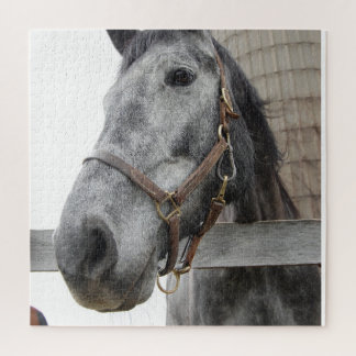 cUTE hORSE cLOSE UP Jigsaw Puzzle