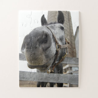 Cute Horse Close Up Jigsaw Puzzle