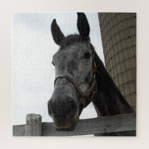 Cute Horse Close up Jigsaw Puzzle