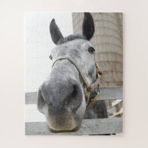 Cute Horse Close up Jigsaw Puzzle