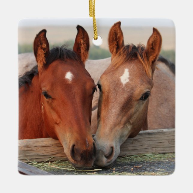Cute Horse Foal Friends Ceramic Ornament (Front)