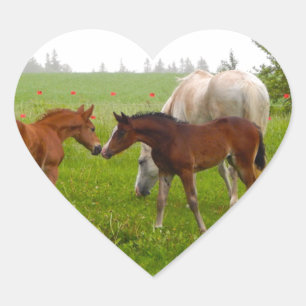 CUTE HORSE FOALS HEART STICKER