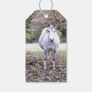 CUTE HORSE GIFT TAGS