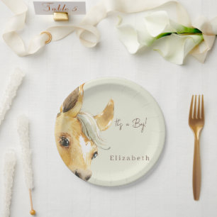 Cute Horse It's a Boy Baby Shower Paper Plate