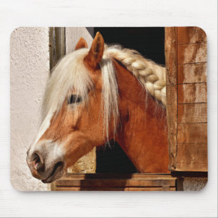 Cute Horse Mouse Mat