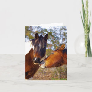 Cute Horse Note Cards