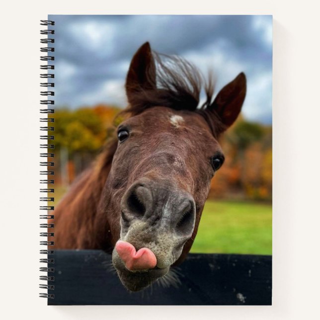 Cute horse spiral notebook (Front)