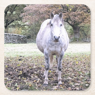 CUTE HORSE SQUARE PAPER COASTER