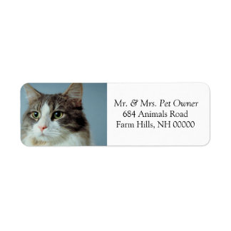 Cute Housecat Return Address Stickers Labels