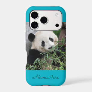 Cute Huggable Giant Panda Blue