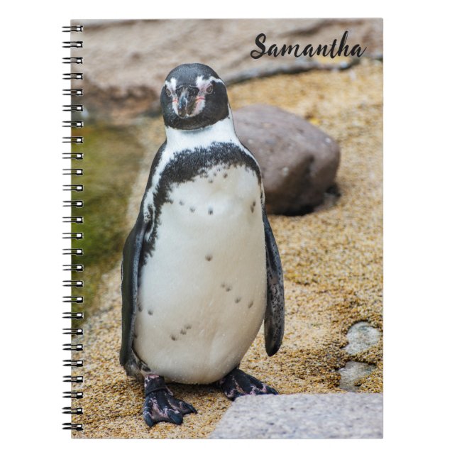 Cute Humboldt Penguin Spiral notebook (Front)