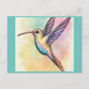 Cute hummingbird in pastel shades postcard