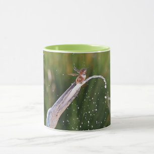 Cute Hummingbird Playing in Fountain Mug Cup