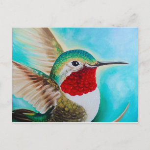 Cute Hummingbird Postcard
