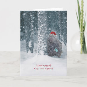 Cute humorous 2020 porcupine holiday card