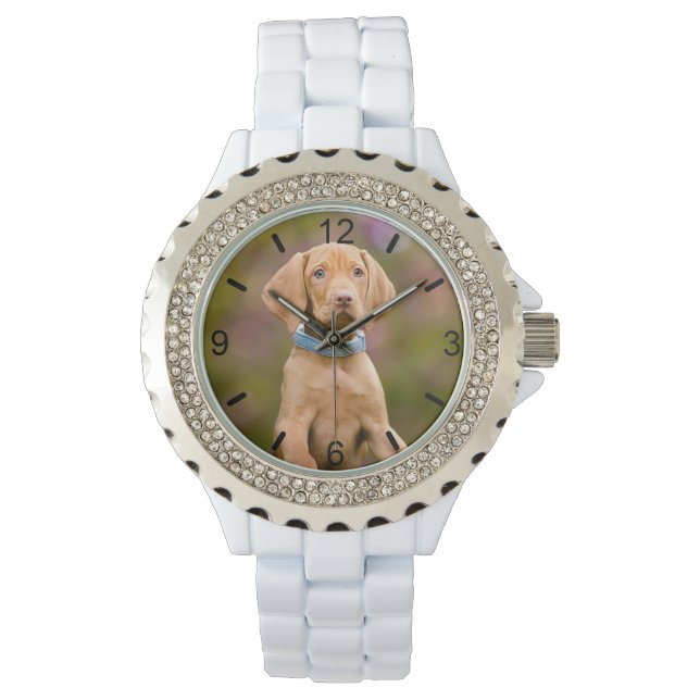 Cute Hungarian Vizsla Dog Puppy Photo - dial-plate Watch (Front)