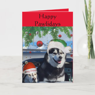 Cute Huskies Holiday Greeting Card