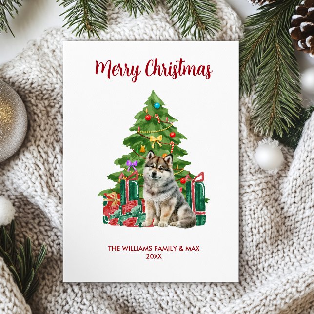 Cute Husky Dog Family Christmas Holiday Card (Creator Uploaded)