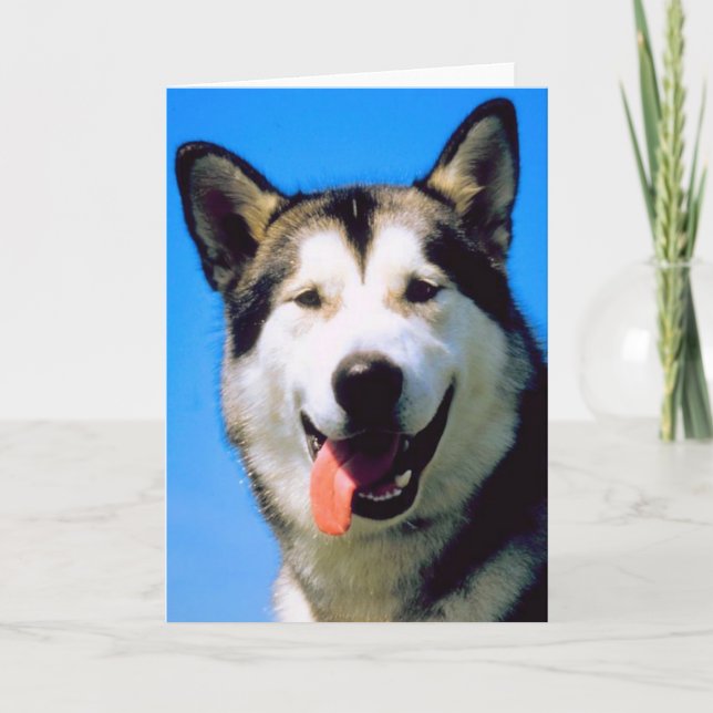 Cute husky dog photo customisable greeting card (Front)