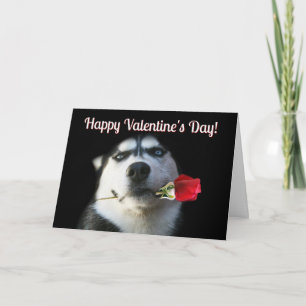 Cute Husky Rose Valentine's Day Card
