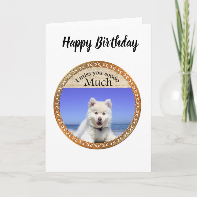 Cute Husky's with blue eye sitting on the beach Card (Front)
