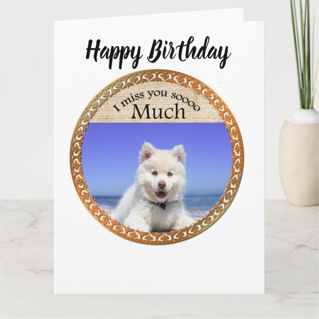 Cute Husky's with blue eye sitting on the beach Card (Front)