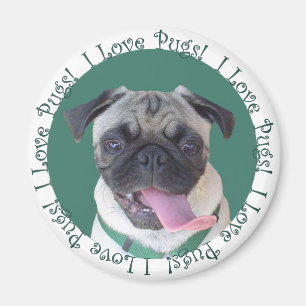 Cute I Love Pugs Magnet