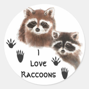 Cute, I love Racoon , Animal Nature Quote Classic Round Sticker
