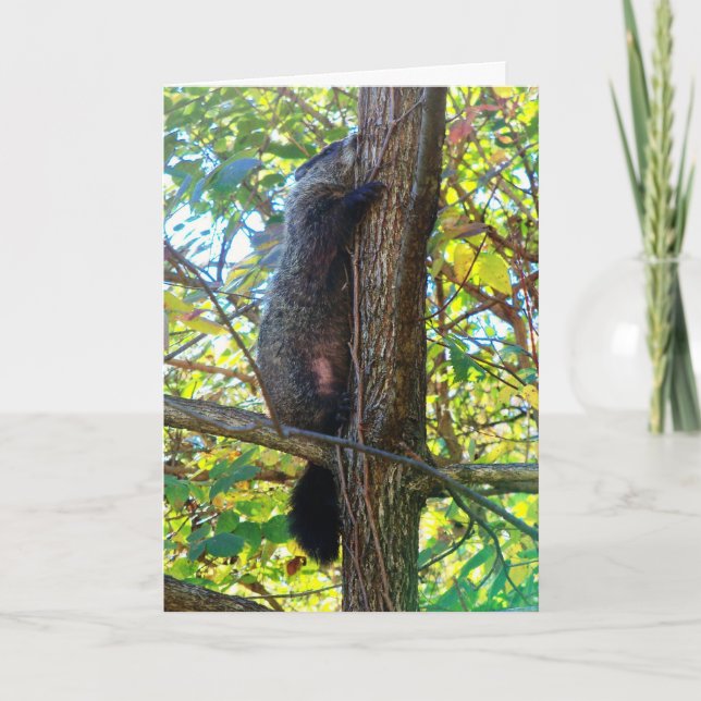 Cute  I Miss You Greeting Card (Front)