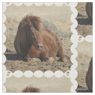 Cute Icelandic Horse Fabric