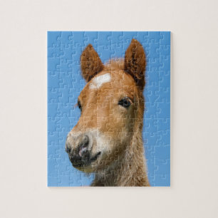 Cute Icelandic Horse Foal Pony Head Front Photo Jigsaw Puzzle