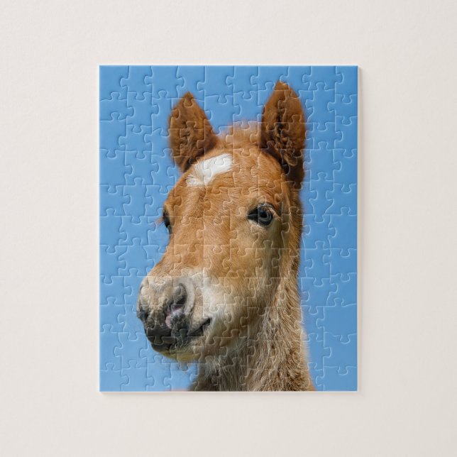Cute Icelandic Horse Foal Pony Head Front Photo Jigsaw Puzzle (Vertical)