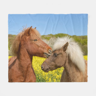 Cute Icelandic Horses Cuddle in a Spring Meadow - Fleece Blanket