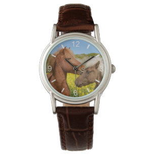 Cute Icelandic Horses Cuddle in a Spring Meadow - Watch