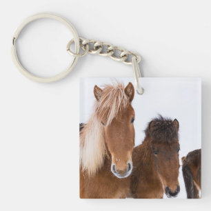 Cute Icelandic Horses Together Key Ring