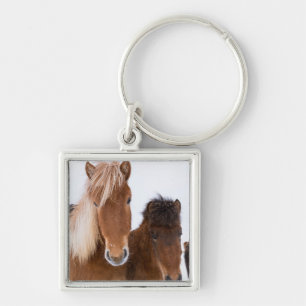 Cute Icelandic Horses Together Key Ring